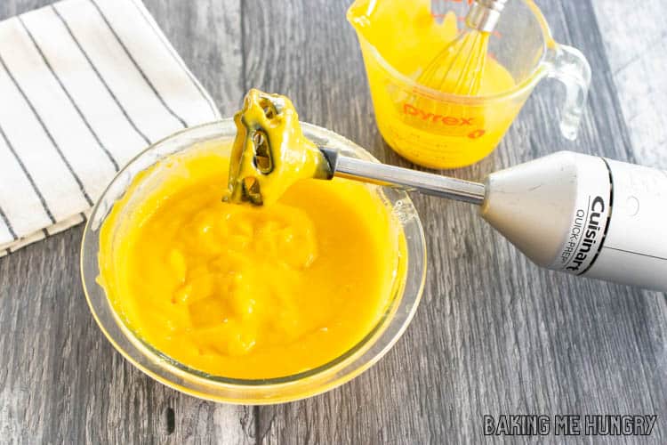 immersion blender in bowl of curd