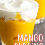 pinterest image for mango pudding