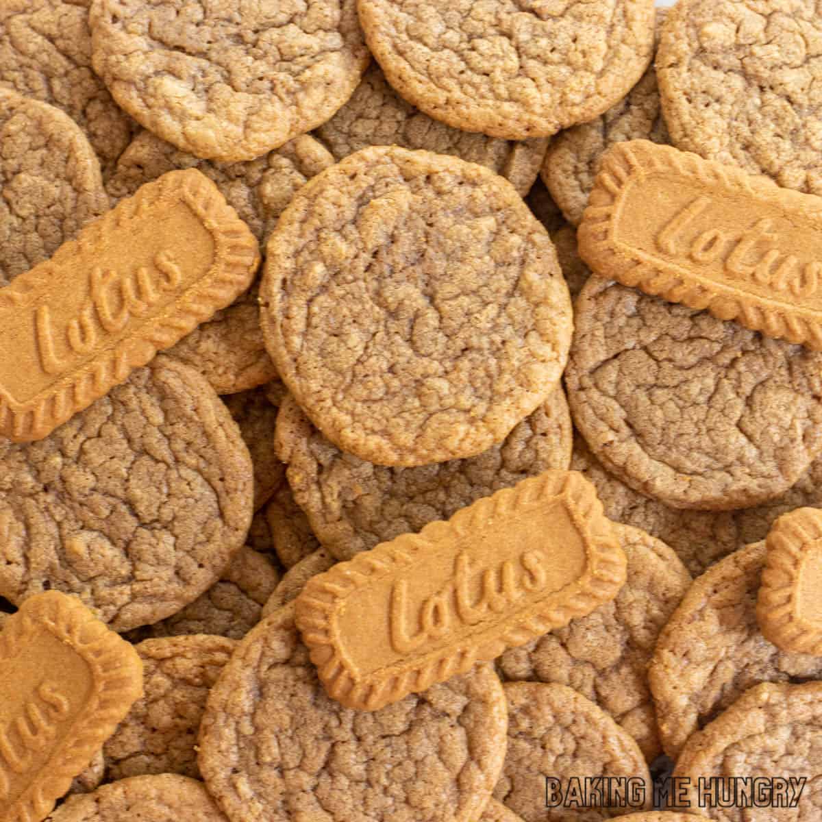 pile of biscoff butter cookies with two biscoff cookies on top