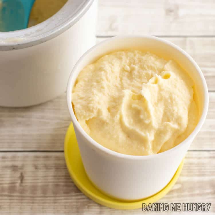 container of coconut milk passion fruit ice cream