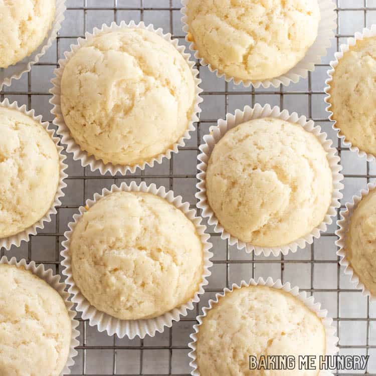 muffins from the vanilla muffins recipe on a cooling rack