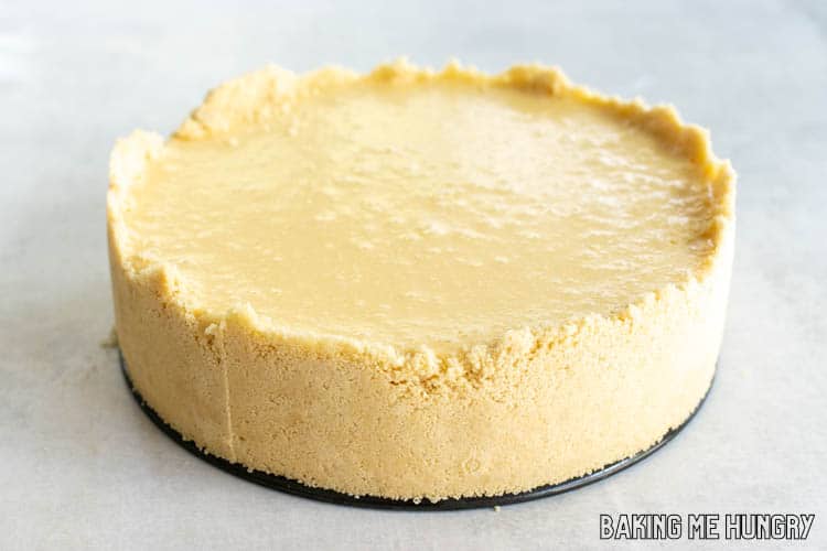 cheesecake sitting on bottom of springform pan