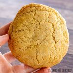 hand holding a single serve sugar cookie close up