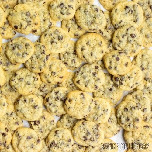 dozens of chocolate chip mini cookies piled up on a tray