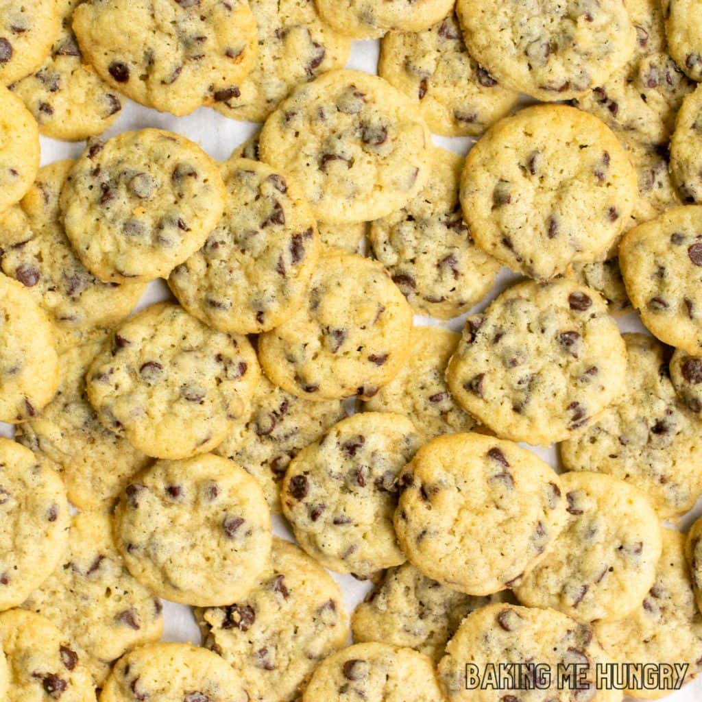 chocolate chip mini cookies piled up on a tray showing dozens of them