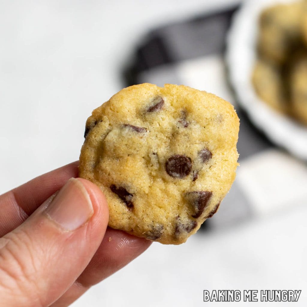 hand holding one of the chocolate chip mini cookies
