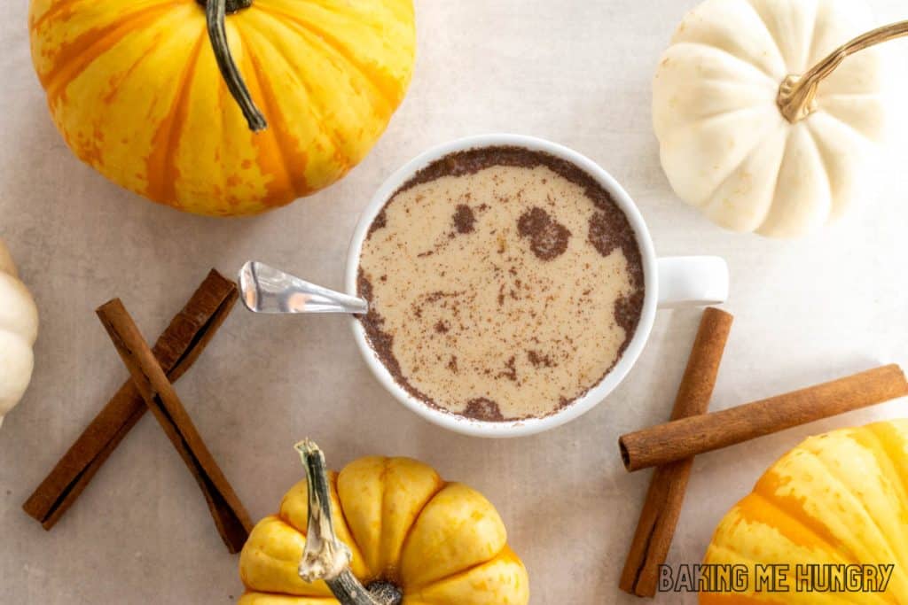 pumpkin chai latte in a mug with cinnamon surrounded by pumpkins