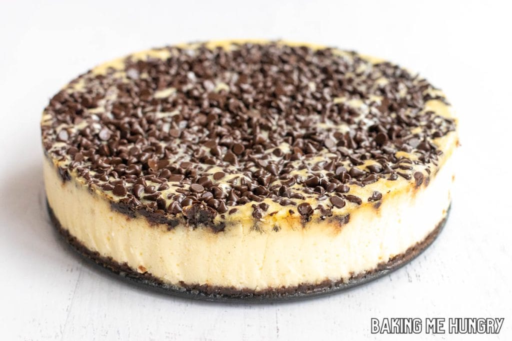 side view of chocolate chip cheesecake on platter