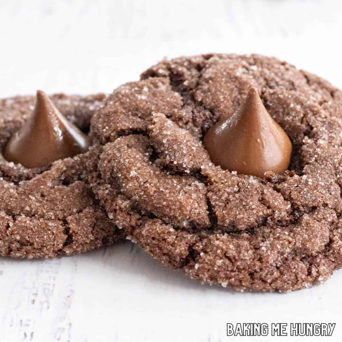 cocoa blossom cookies recipe shown close up