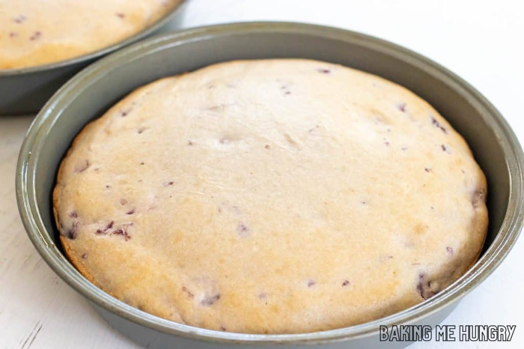 baked cake in pan