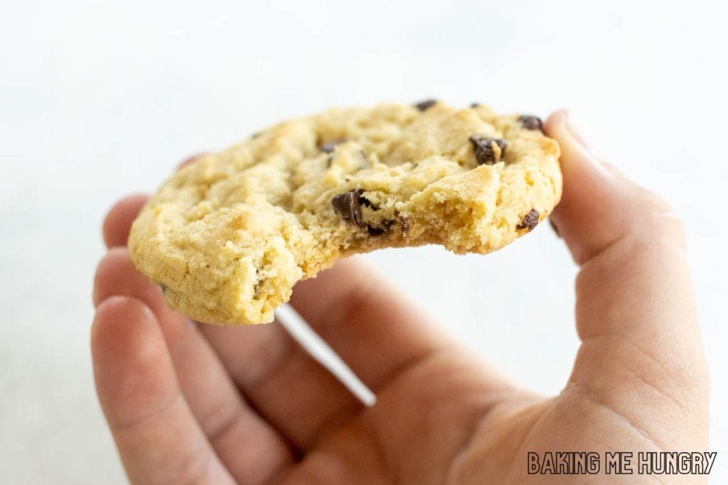 hand holding cookie with bite missing