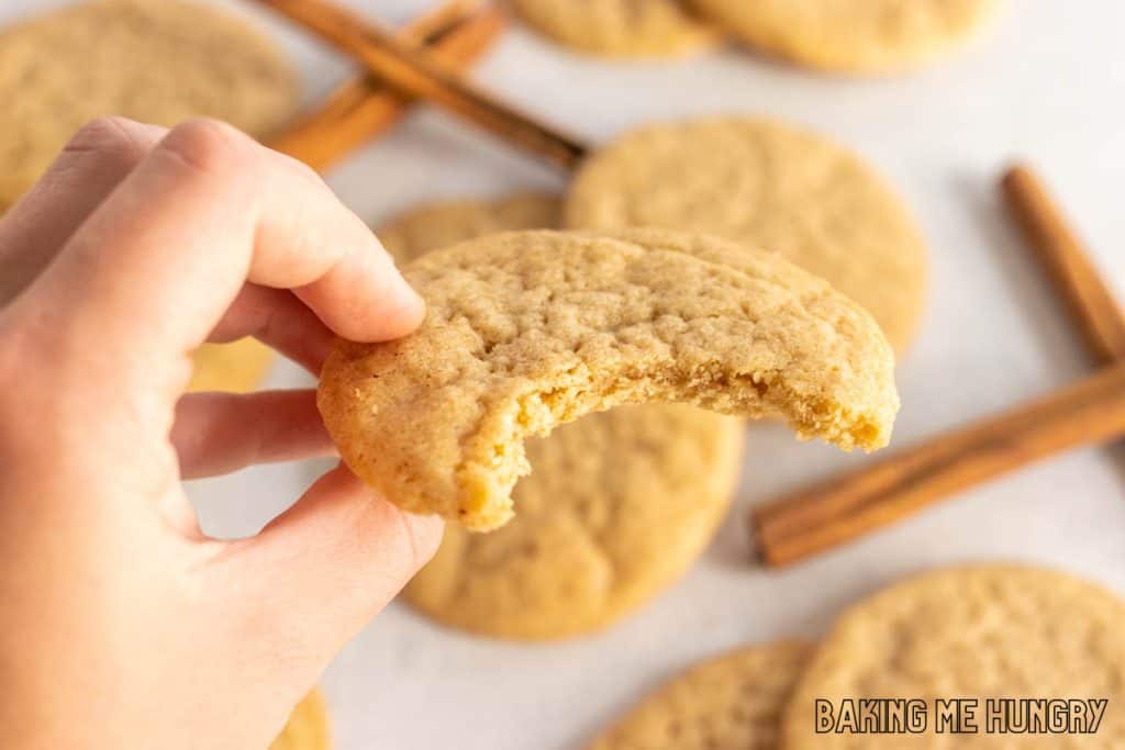 hand holding a cookie with a bite missing